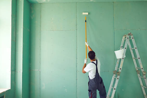 Biohazard Mold Removal in Sterling, IL